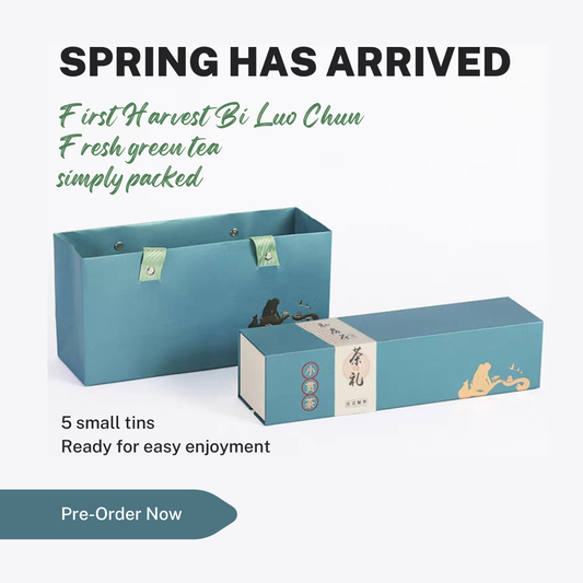 The First Taste of Spring: Bi Luo Chun