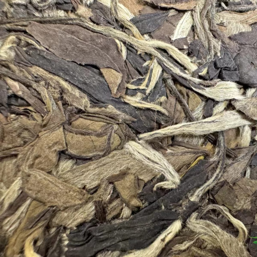 Fu Ding White Tea, 0923 Peony White, 2009 vintage each 300g - OVP Tea