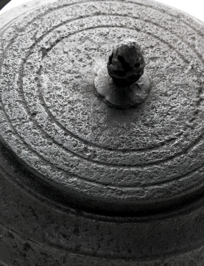 Mentori Tamabuchi Higashiyama Gata Shape Japan Tetsubin Iron Kettle by Koizumi Nizaemon XI