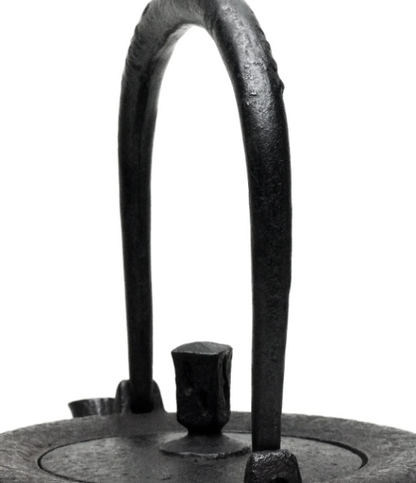 Budochirashi Araremon Odare Gata Shape Japan Tetsubin Iron Kettle by Koizumi Nizaemon XI