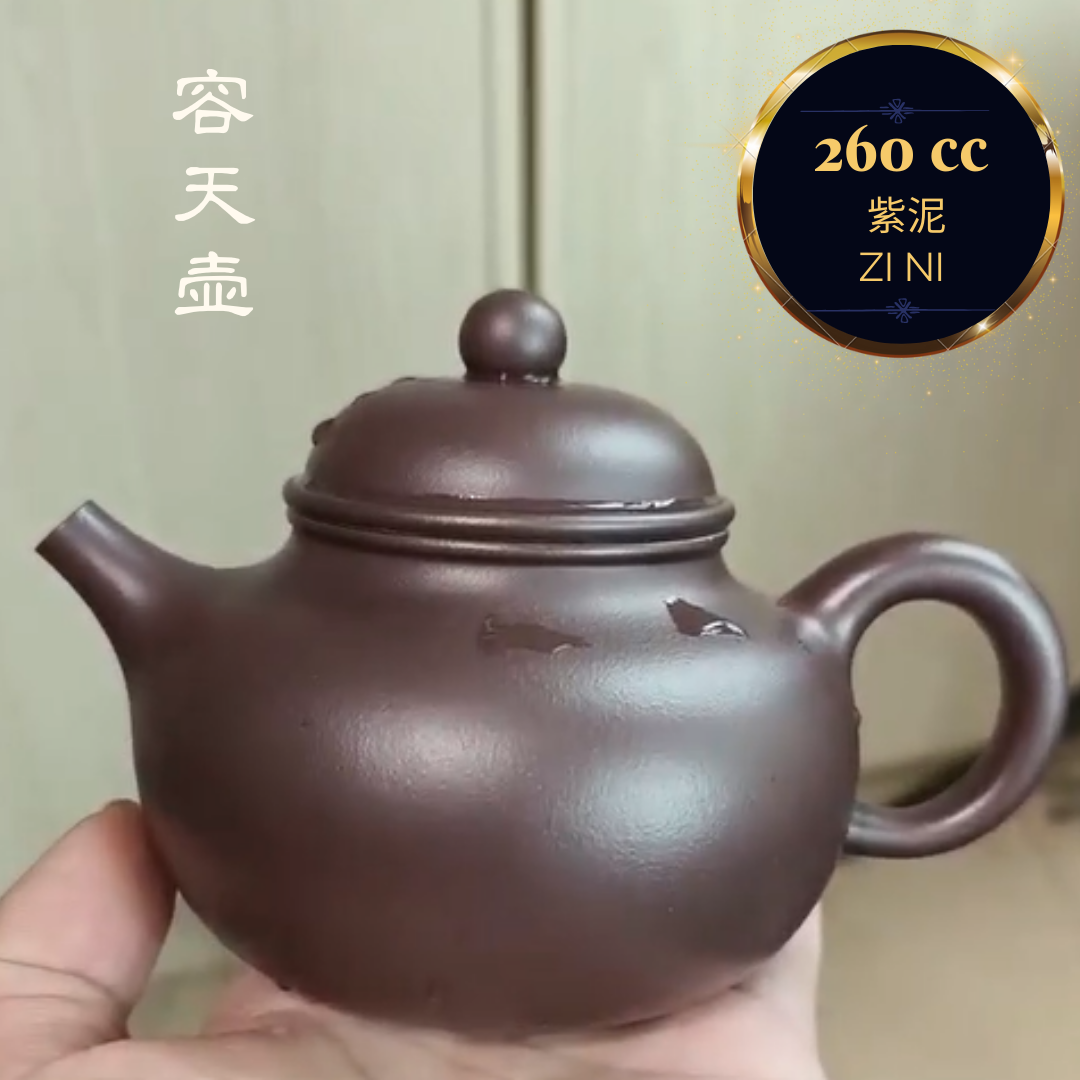 Zisha teapot RONG TIAN, handmade by Studio Craftsmanship, LUI Pei, Zi Ni - OVP Tea