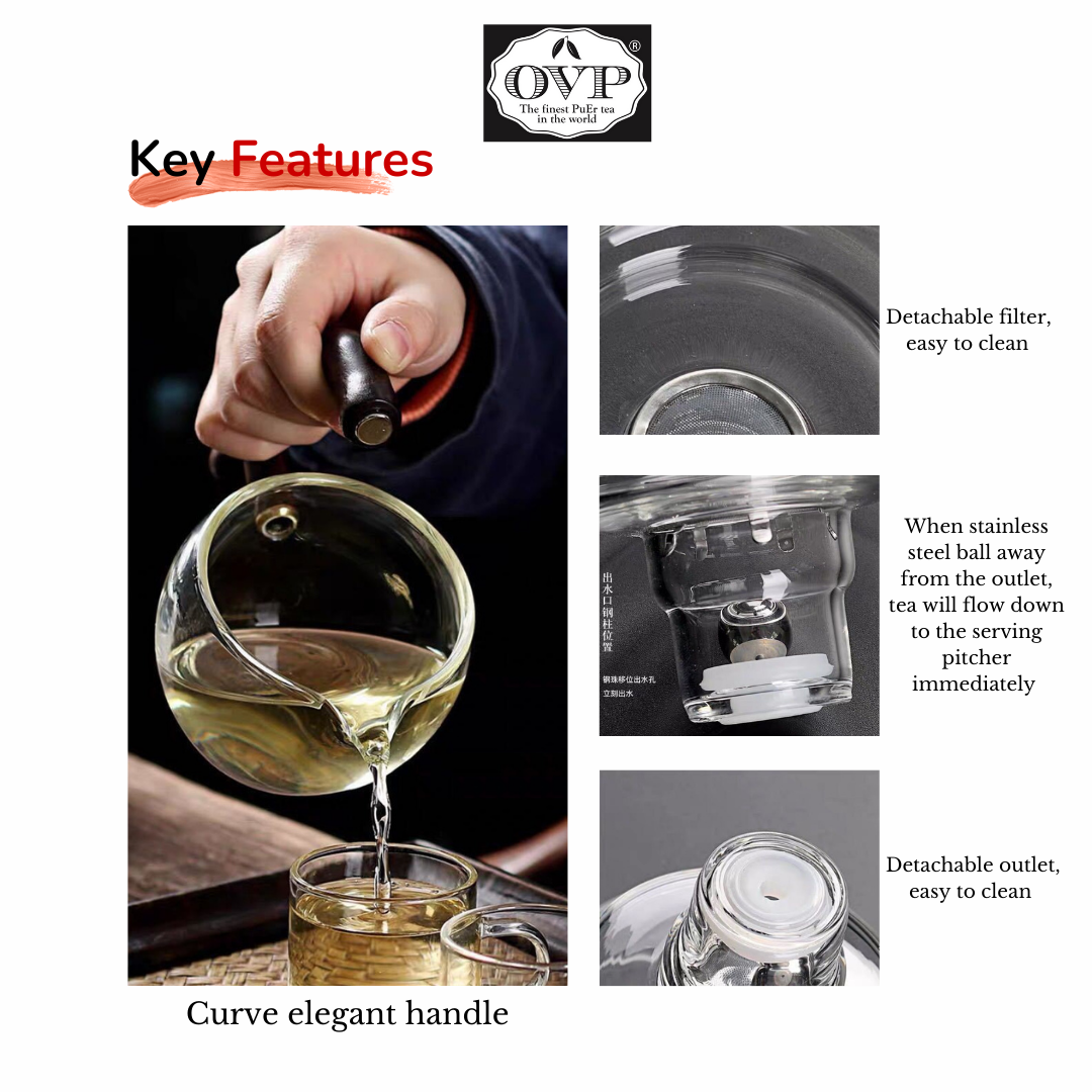 Semi-auto borosilicate glass brewing set (150ml) - OVP Tea