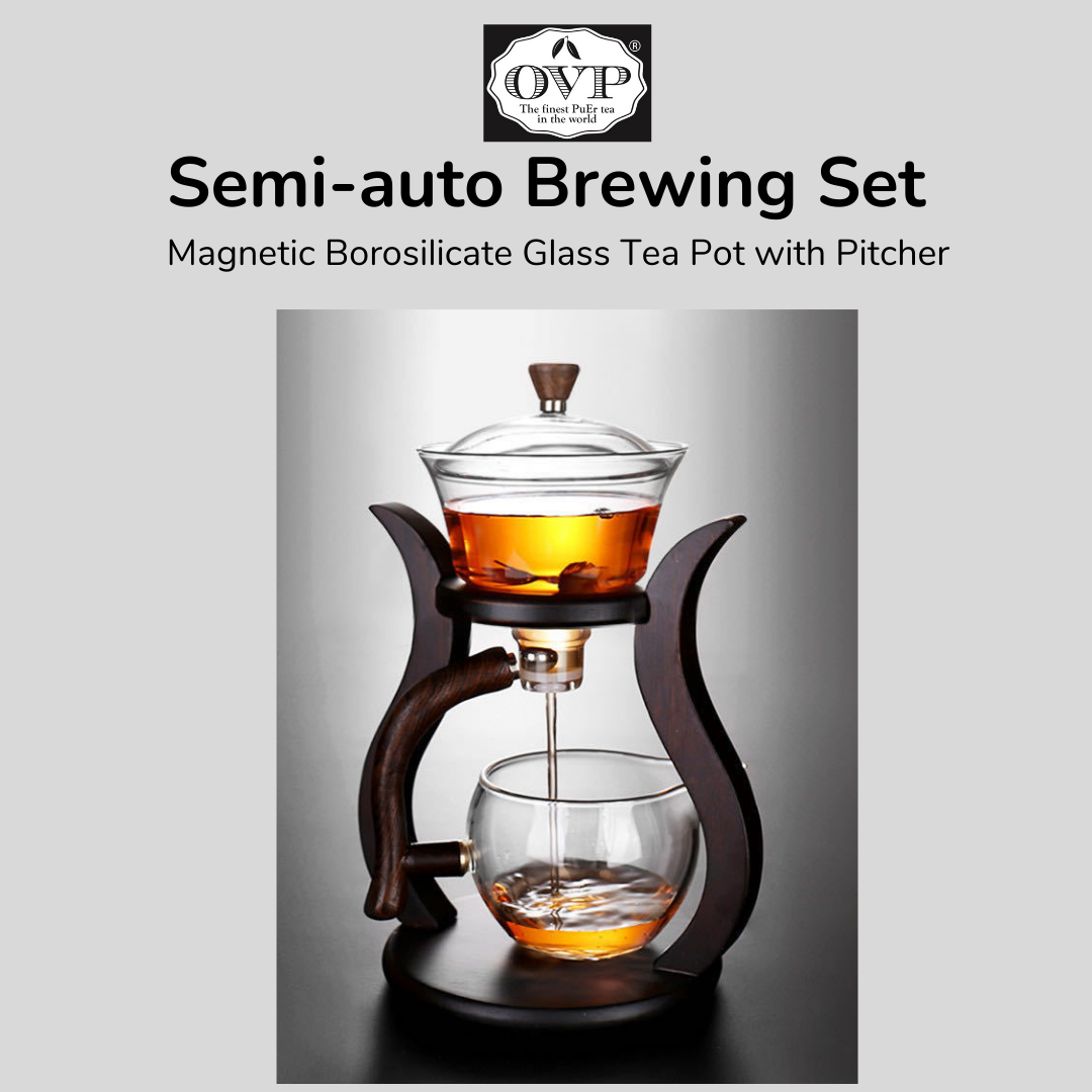 Semi-auto borosilicate glass brewing set (150ml) - OVP Tea