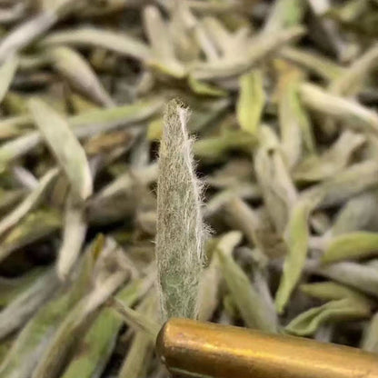 Silver Fairy™ OVP Fu Ding white tea, 1812 White Hair Silver Needles White Tea, loose Tea in Tin - OVP Tea