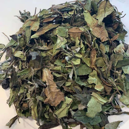 White Fairy™ OVP Fu Ding white tea, 1842 Shou Mei Loose Tea in Tin - OVP Tea